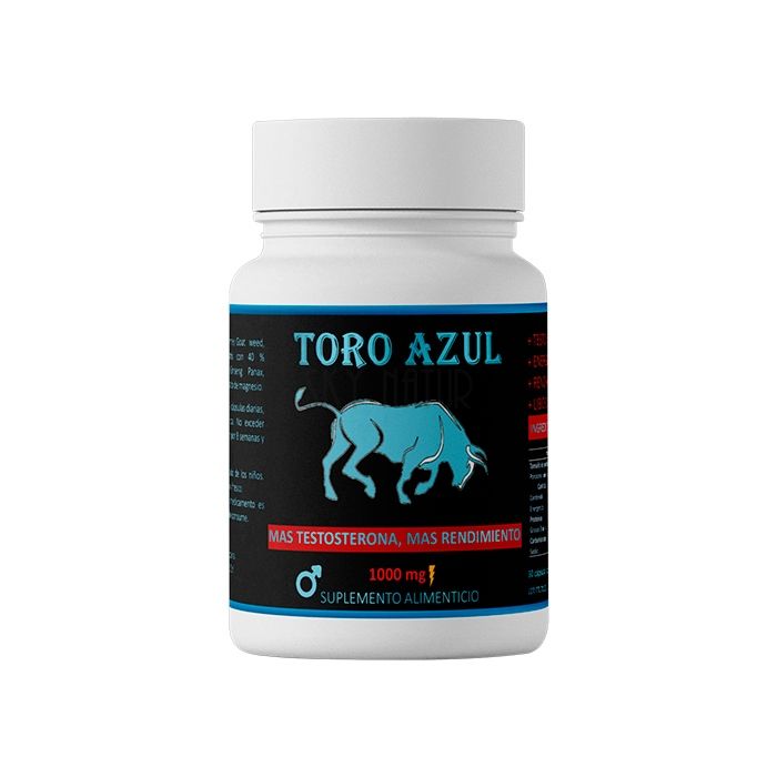 ‣ Toro Azul