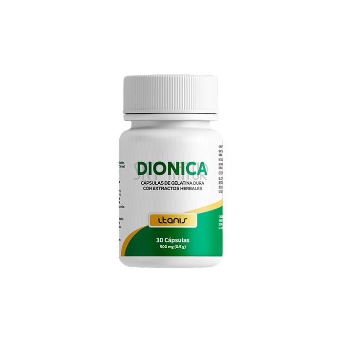 Dionica